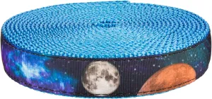 Country Brook Design - Galactic Neighbors on Ice Blue Nylon Webbing Closeout (3/4 Inch)