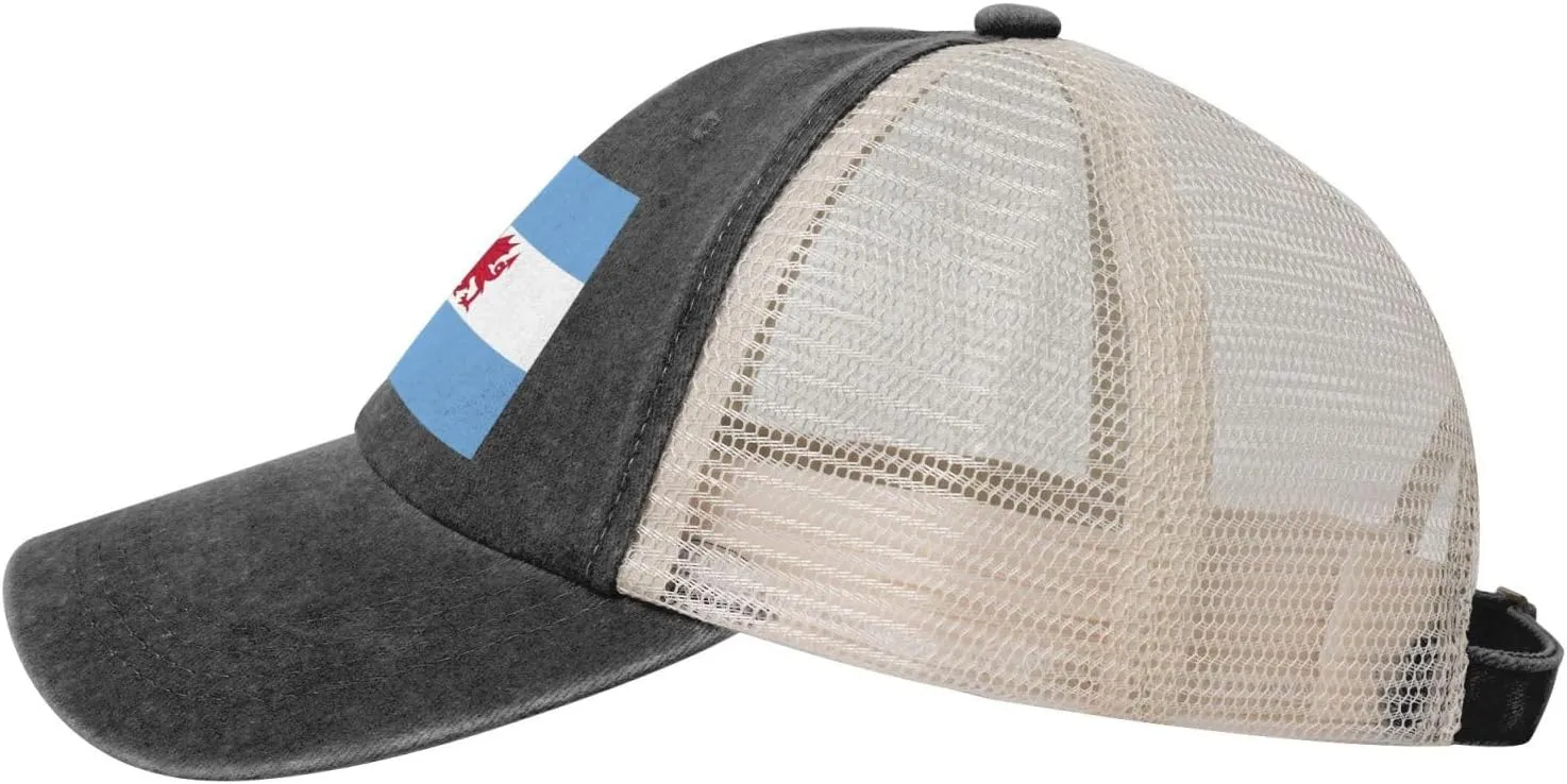 Flag of The Welsh Colony in Patagonia Baseball Cap Women Men Mesh Back Denim Hat Vintage Trucker Hats Dad Caps