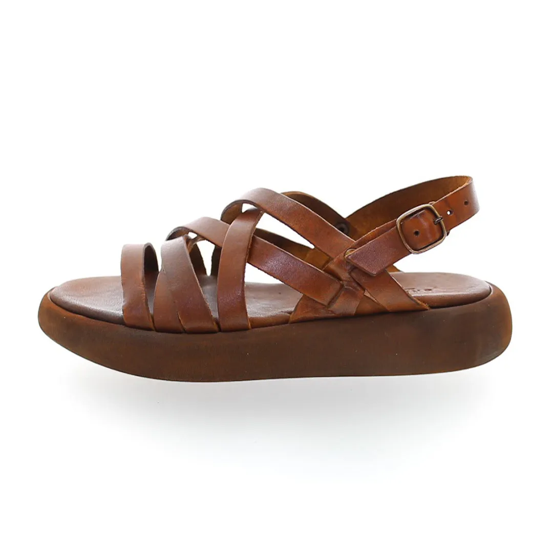 MADEIRA CIGAR PLATFORM