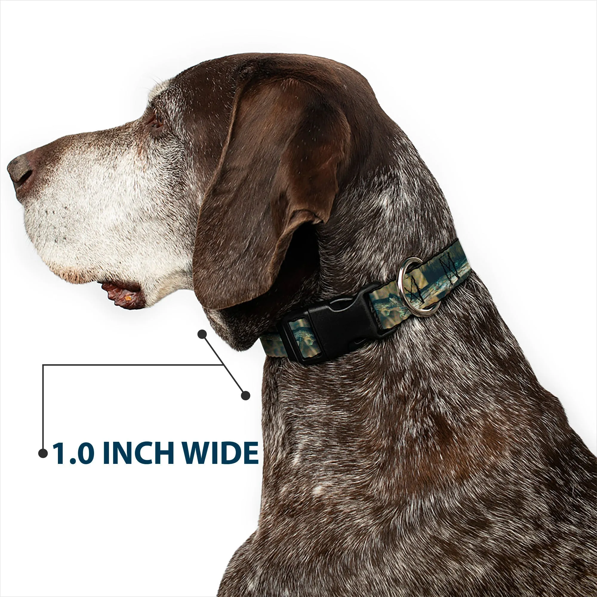 Plastic Clip Collar - Mossy Oak Break-Up Infinity