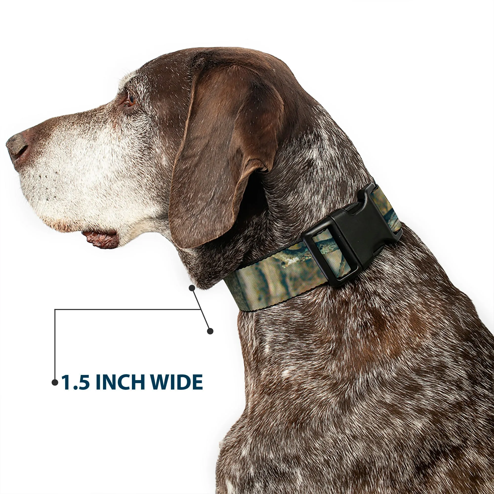 Plastic Clip Collar - Mossy Oak Break-Up Infinity