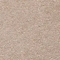 The Cerchio Shearling